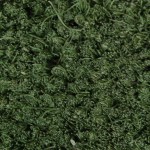 Green %90