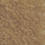 Caramel 381