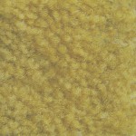 Pale Yellow 416