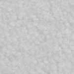 Steel White 419